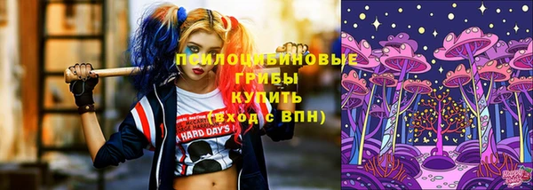 гидропоника Медногорск