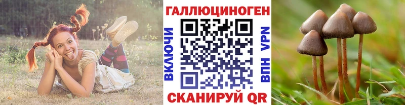 Галлюциногенные грибы GOLDEN TEACHER  Правдинск 